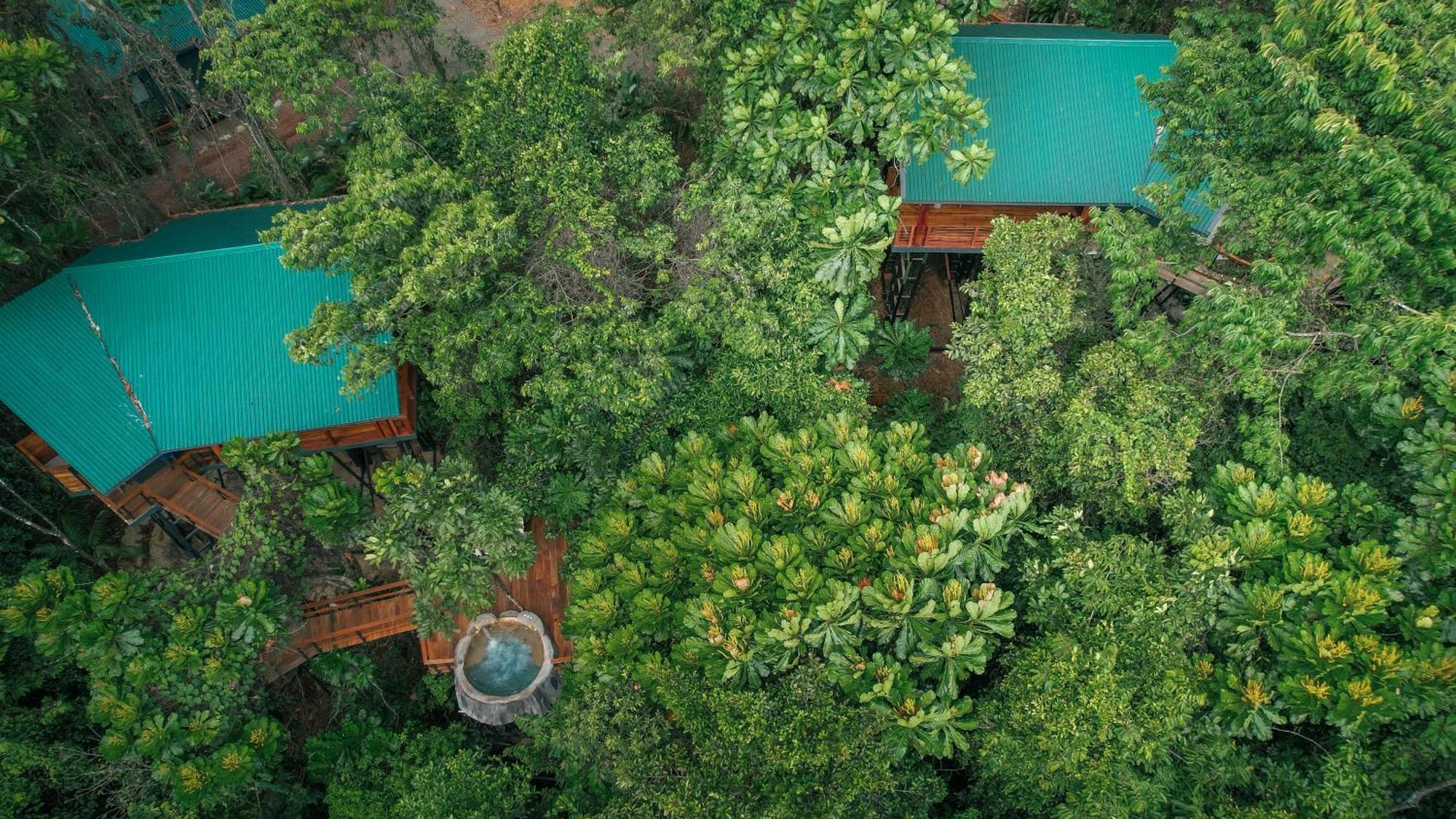 Chachagua Rainforest Hotel & Hot Springs La Fortuna Zewnętrze zdjęcie