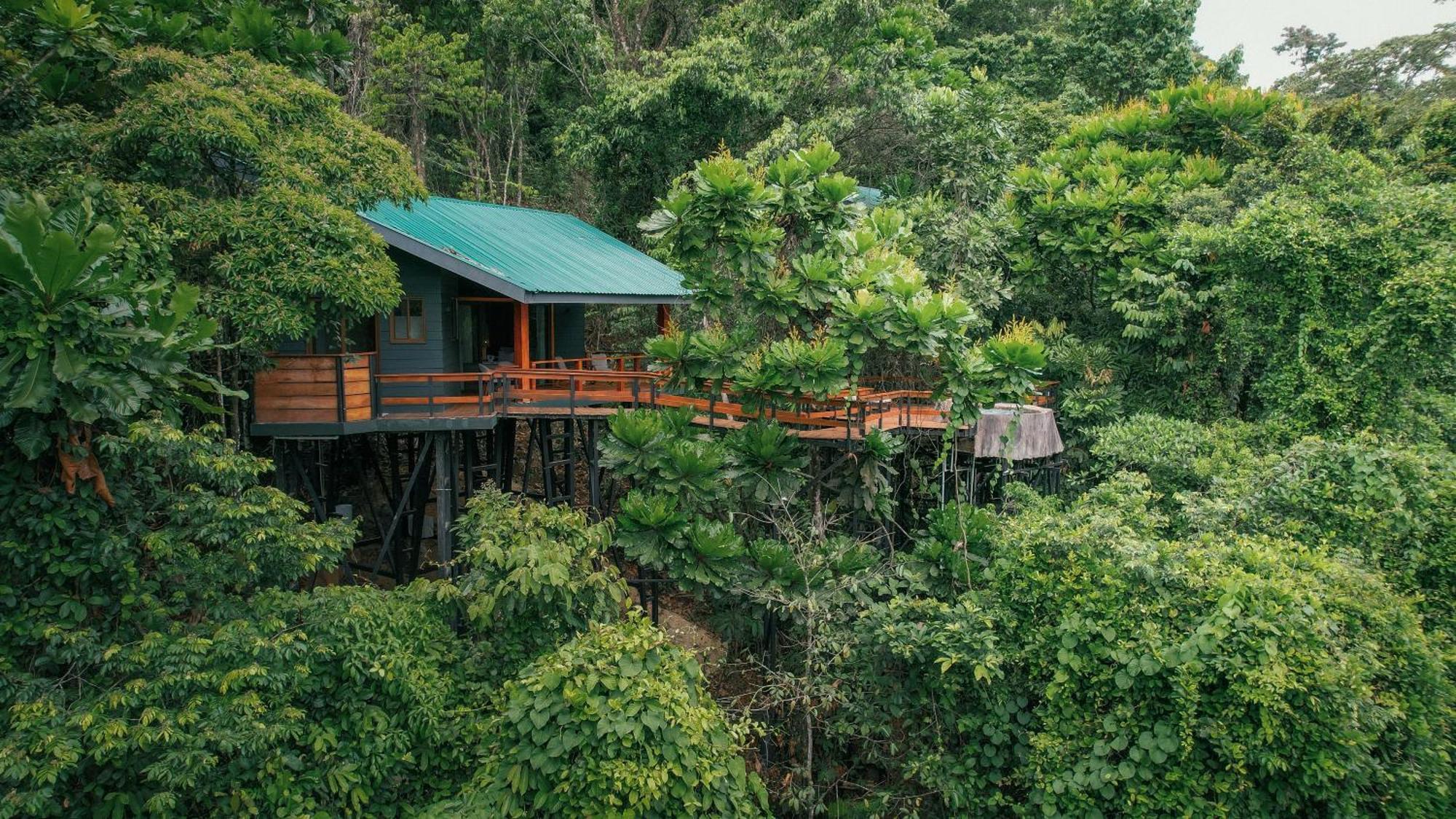 Chachagua Rainforest Hotel & Hot Springs La Fortuna Zewnętrze zdjęcie