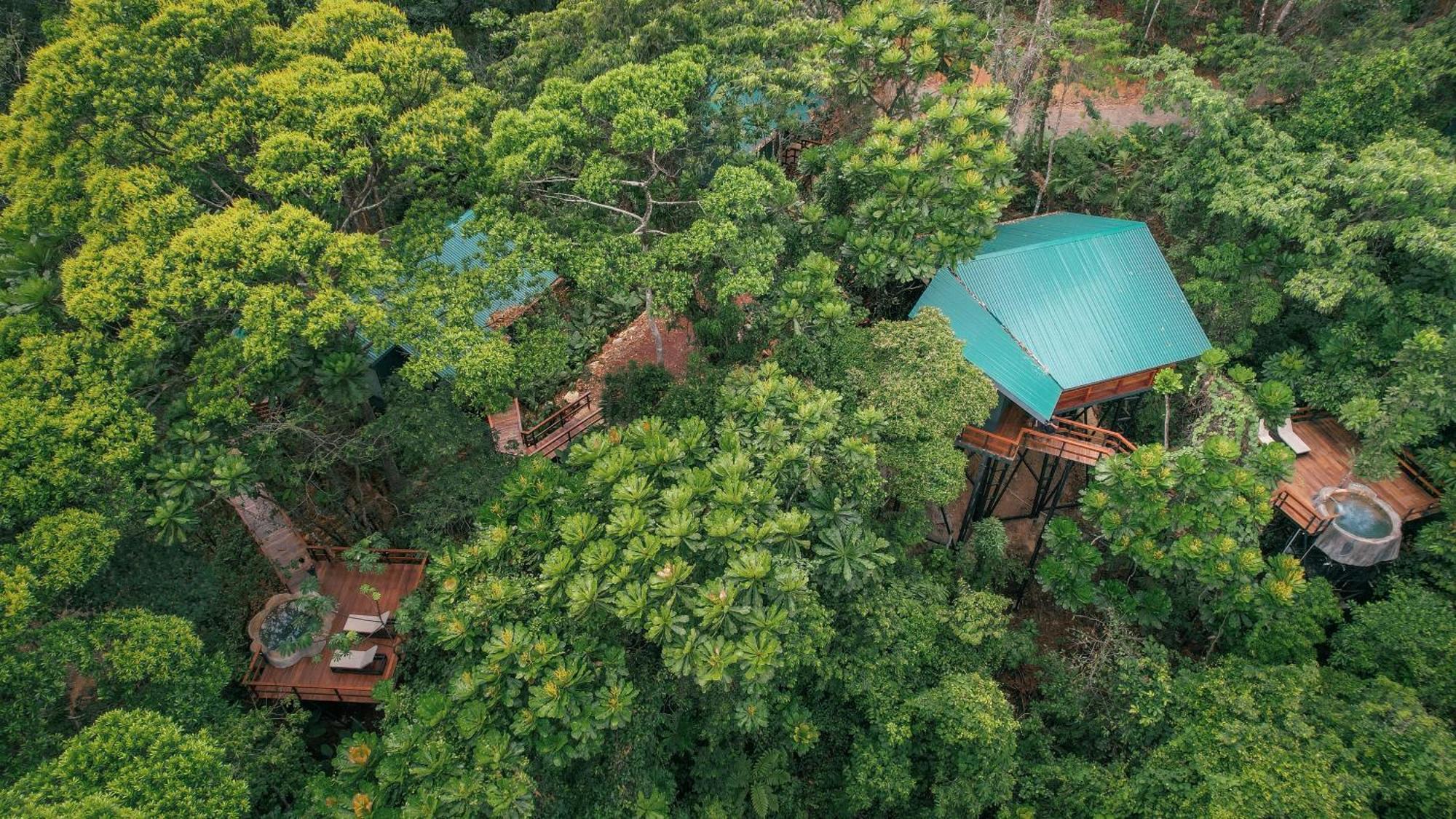 Chachagua Rainforest Hotel & Hot Springs La Fortuna Zewnętrze zdjęcie